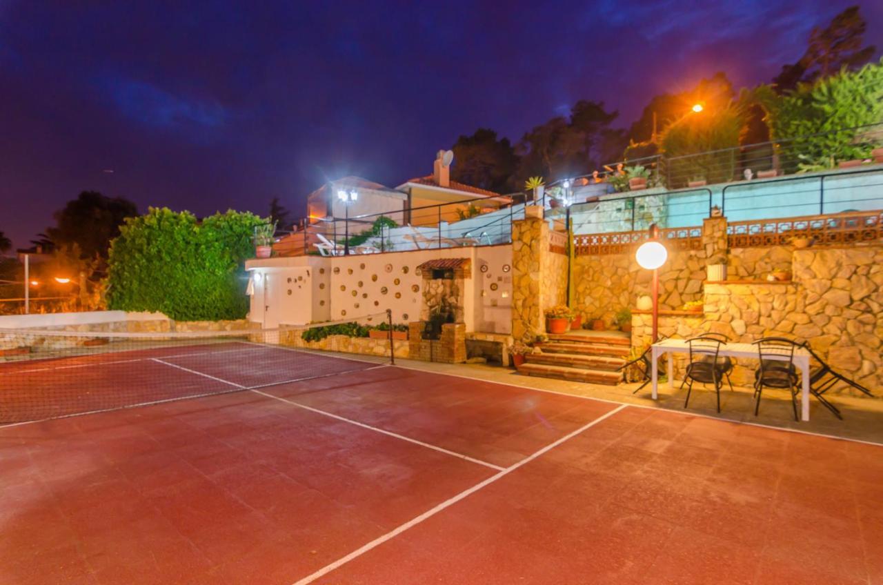 Club Villamar - Palmeras