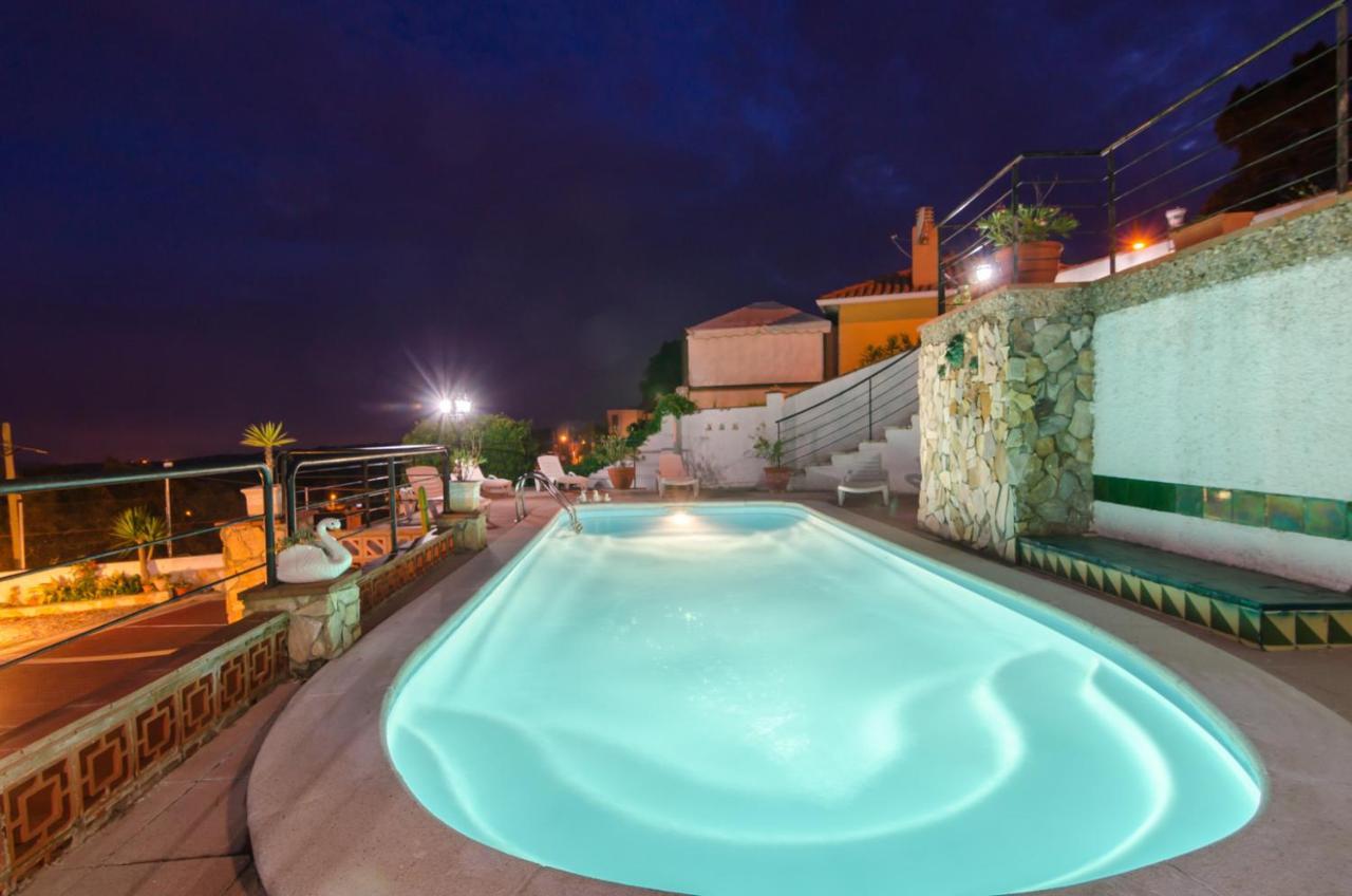 Club Villamar - Palmeras