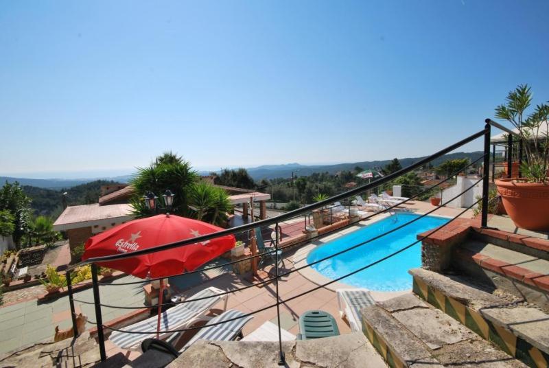 Club Villamar - Palmeras